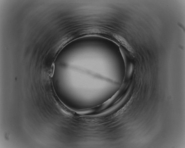 X0000091901225200709051356