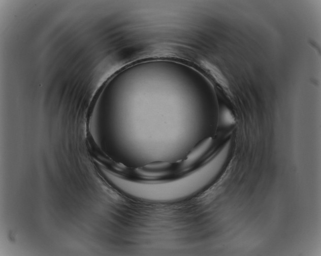 X0000091901226200709051356