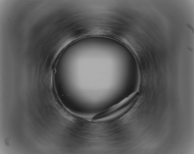X0000091901227200709051356