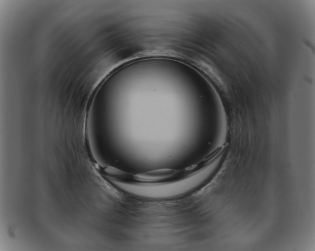 X0000091901228200709051356