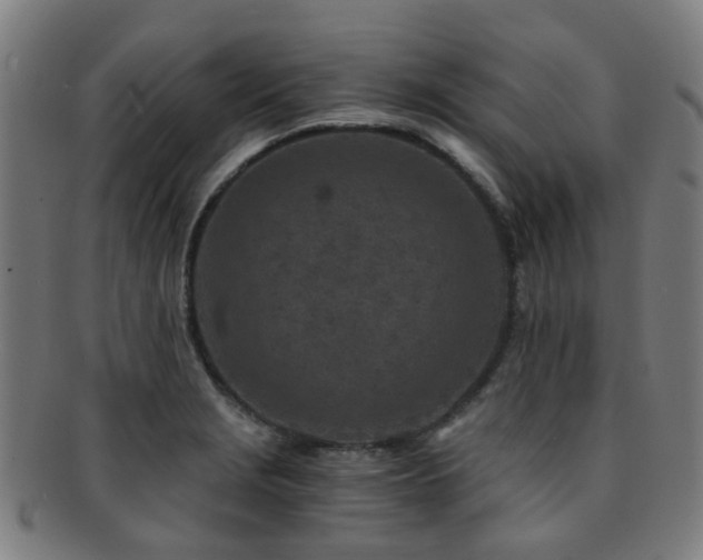 X0000091901229200709051356