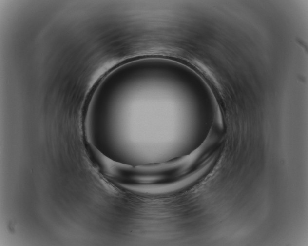 X0000091901230200709051356