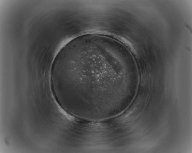 X0000091901231200709051356