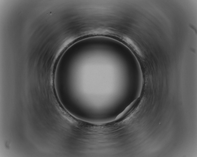 X0000091901232200709051356