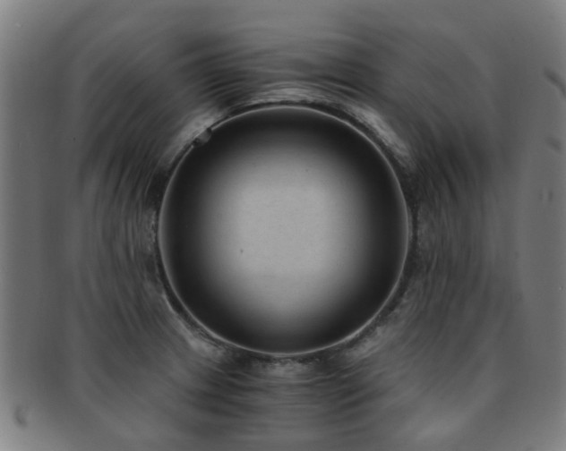 X0000091901233200709051356