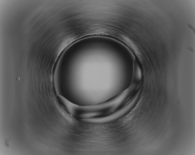 X0000091901234200709051356