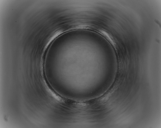 X0000091901235200709051356