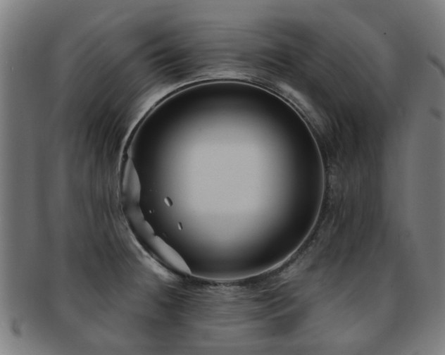 X0000091901236200709051356