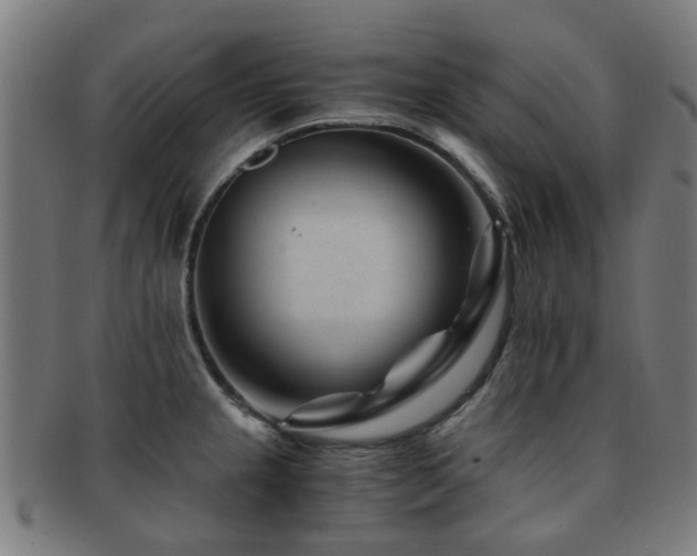X0000091901237200709051356