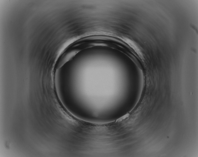 X0000091901238200709051356