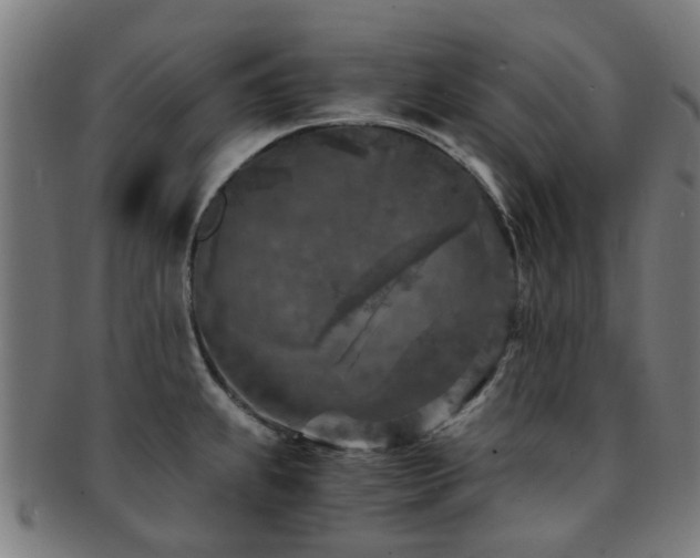 X0000091901239200709051356