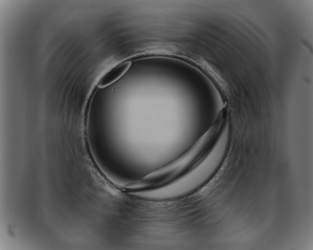 X0000091901240200709051356