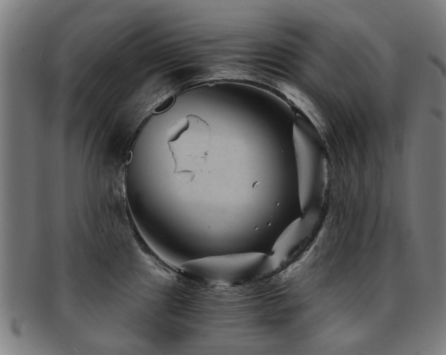 X0000091901241200709051356