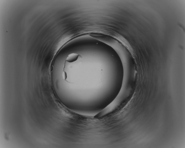 X0000091901242200709051356