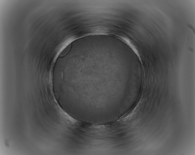 X0000091901243200709051356