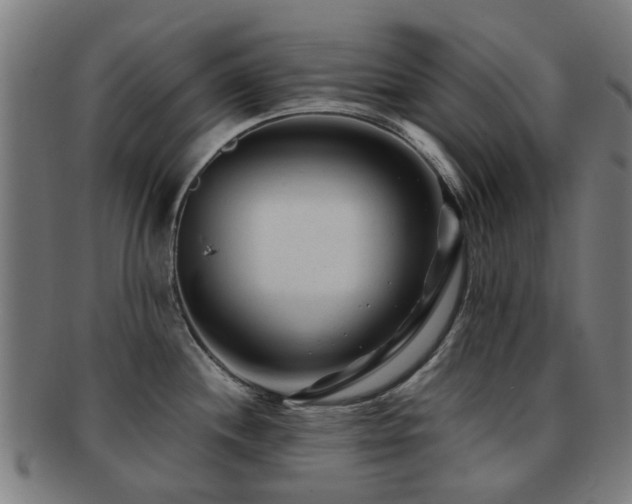 X0000091901244200709051356