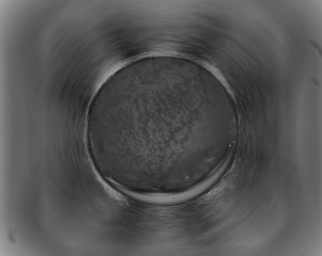 X0000091901245200709051356