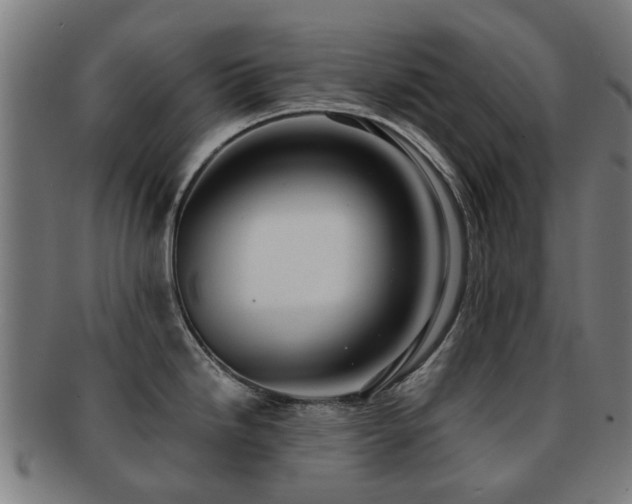 X0000091901246200709051356