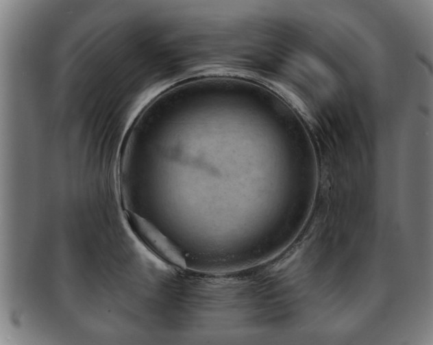 X0000091901247200709051356