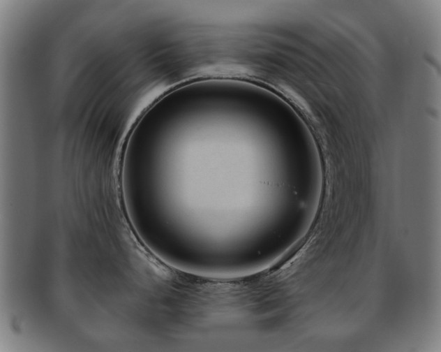 X0000091901248200709051356