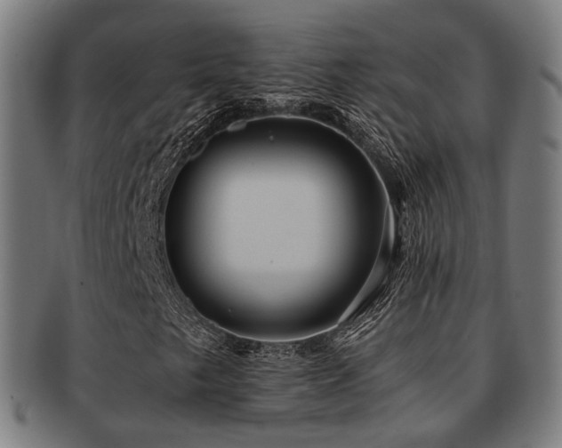 X0000091901249200709051356