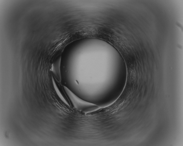 X0000091901250200709051356