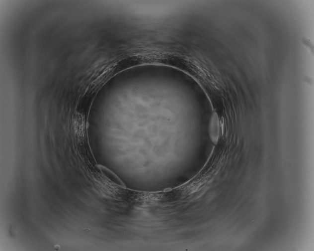 X0000091901251200709051356