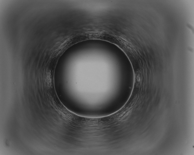 X0000091901252200709051356