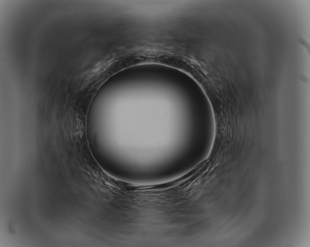 X0000091901253200709051356