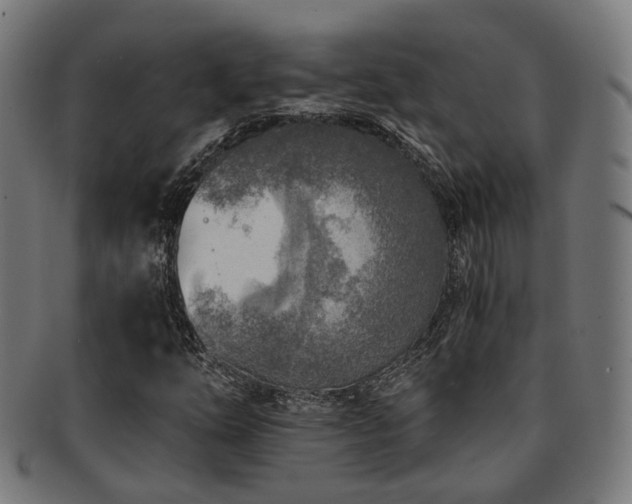 X0000091901254200709051356