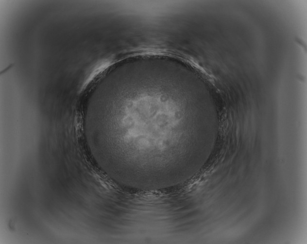 X0000091901255200709051356