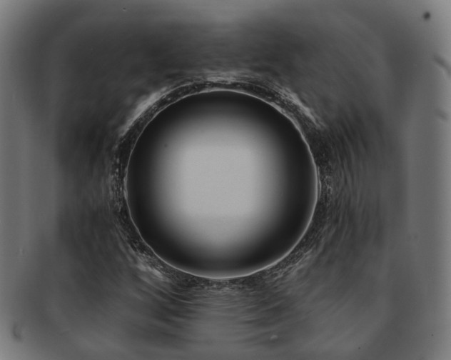 X0000091901256200709051356
