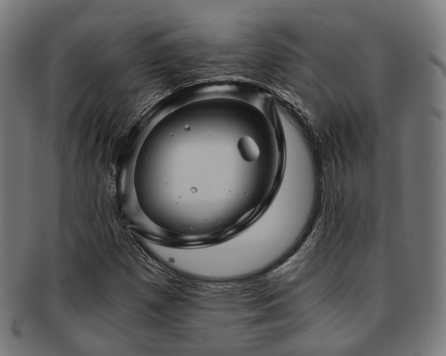 X0000091901257200709051356