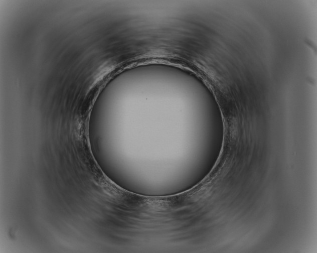 X0000091901258200709051356