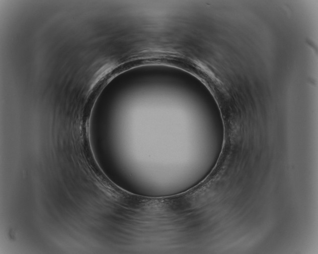 X0000091901259200709051356