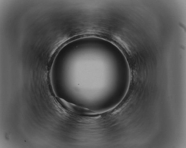 X0000091901260200709051356
