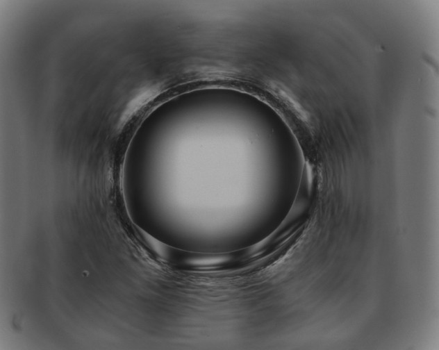 X0000091901261200709051356