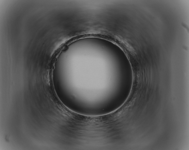 X0000091901262200709051356