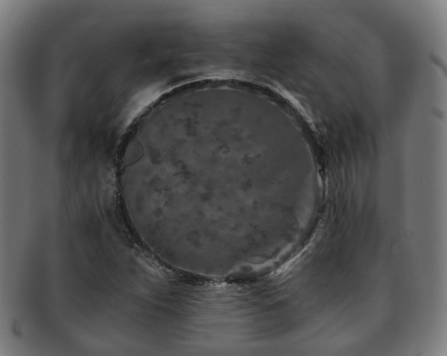 X0000091901263200709051356