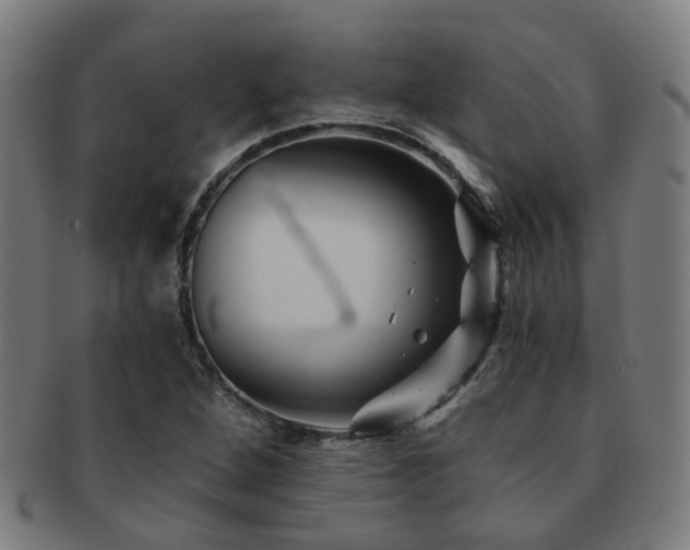 X0000091901264200709051356