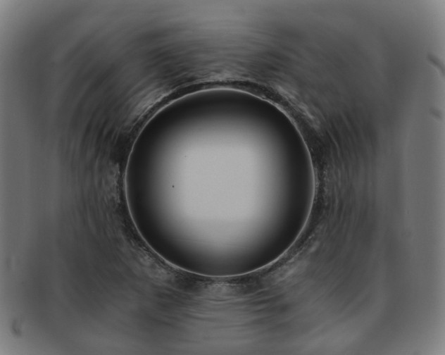 X0000091901265200709051356