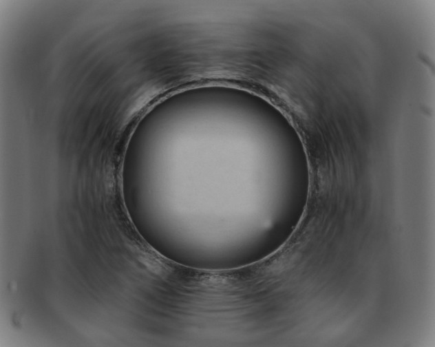 X0000091901266200709051356
