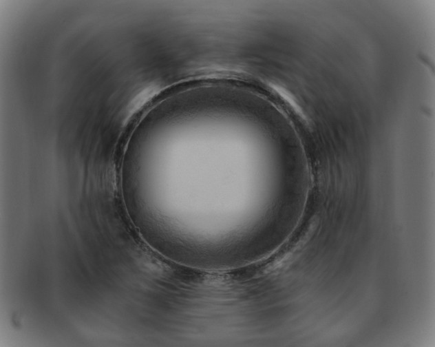 X0000091901267200709051356