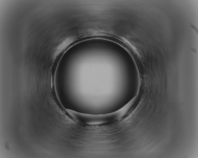 X0000091901269200709051356