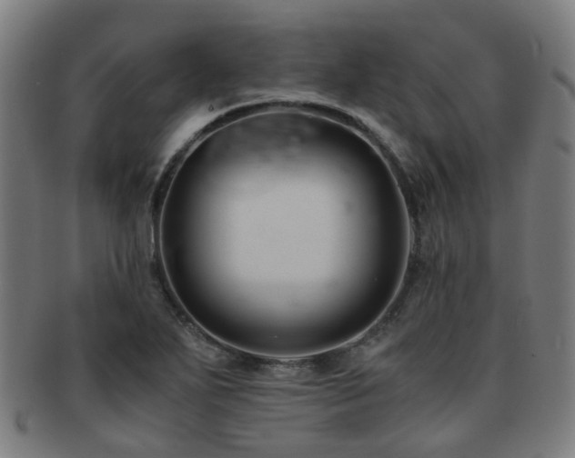 X0000091901271200709051355