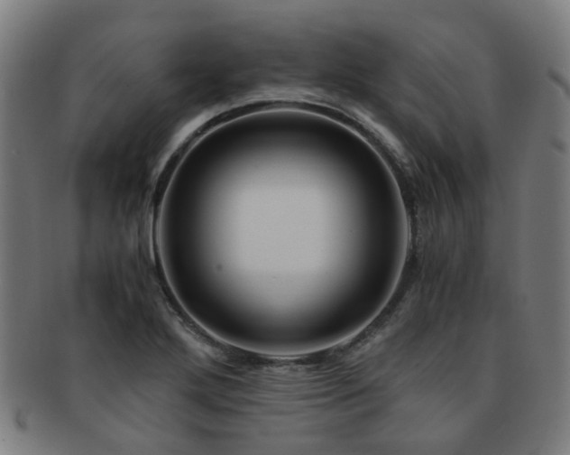 X0000091901272200709051355
