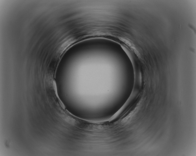 X0000091901273200709051355