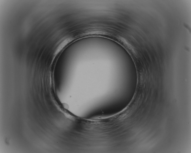 X0000091901274200709051355