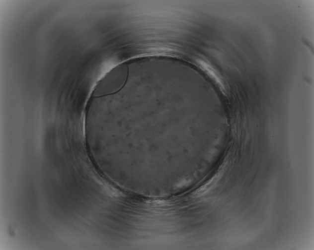 X0000091901275200709051355