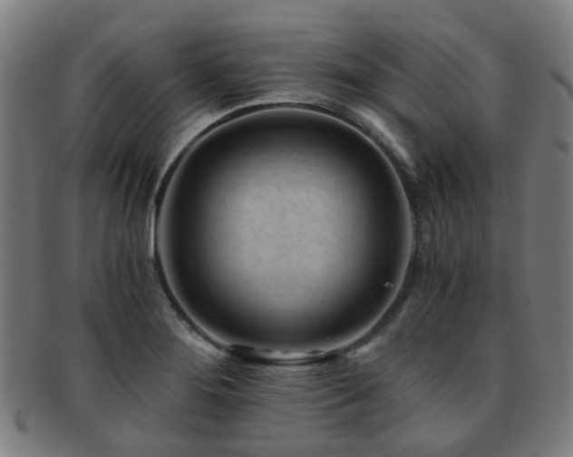 X0000091901276200709051355